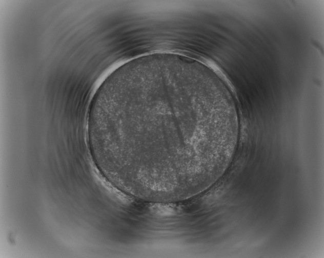 X0000099410955200806060929