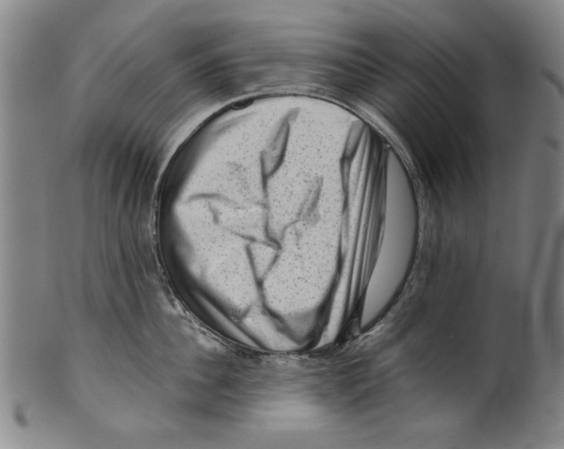 X0000099410956200806060929