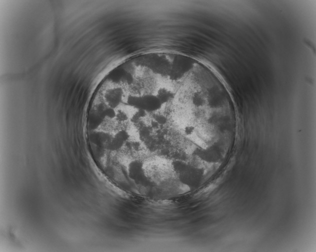 X0000099410957200806060929