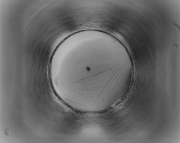 X0000099410958200806060929