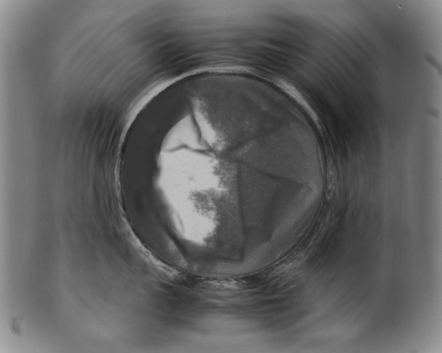 X0000099410959200806060929