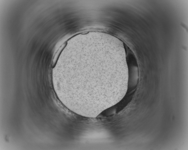 X0000099410960200806060929