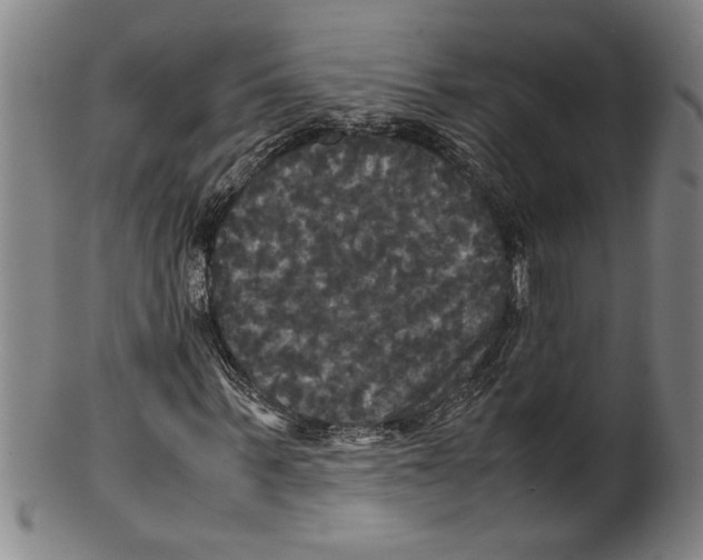 X0000099410963200806060928