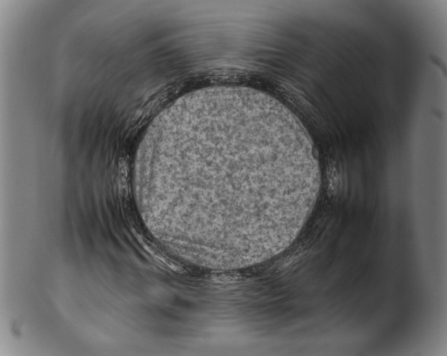 X0000099410964200806060928