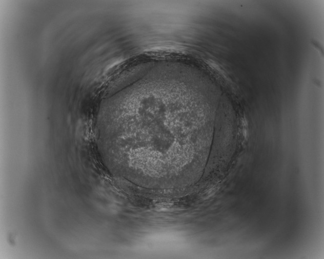 X0000099410965200806060928