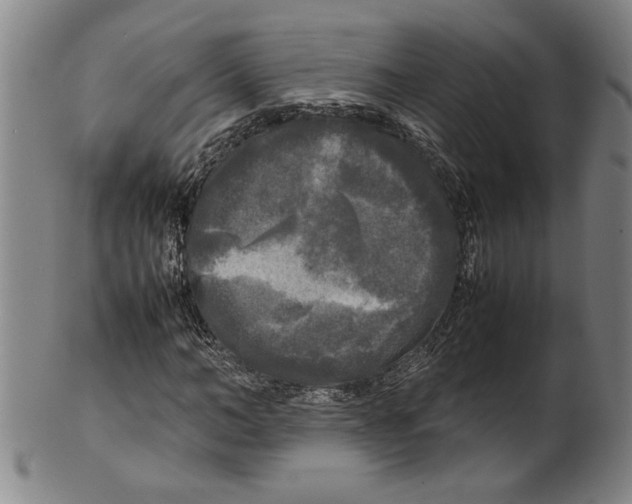 X0000099410966200806060928