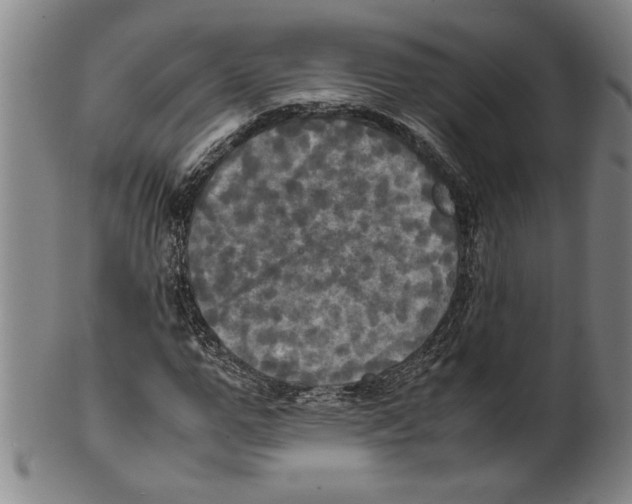 X0000099410967200806060928