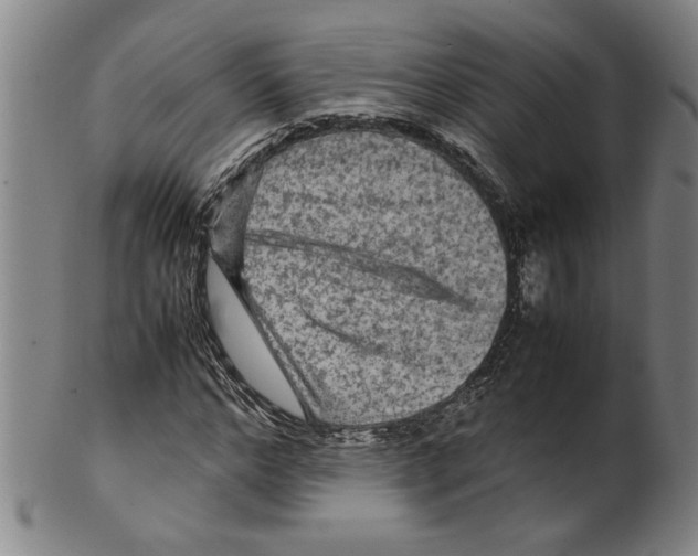 X0000099410968200806060928