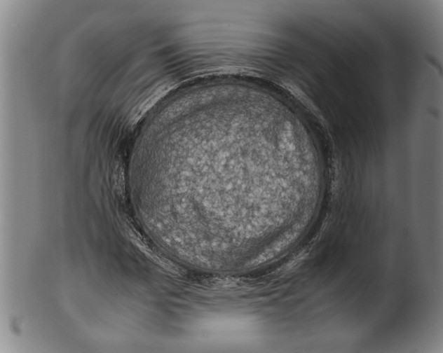 X0000099410969200806060928