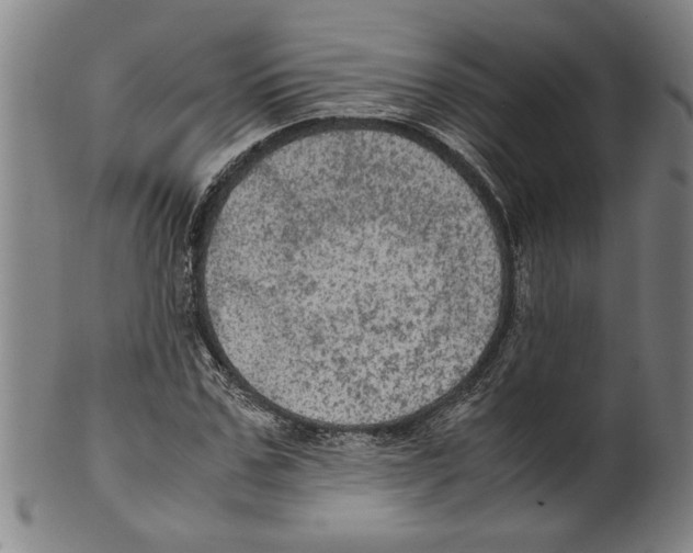 X0000099410971200806060928