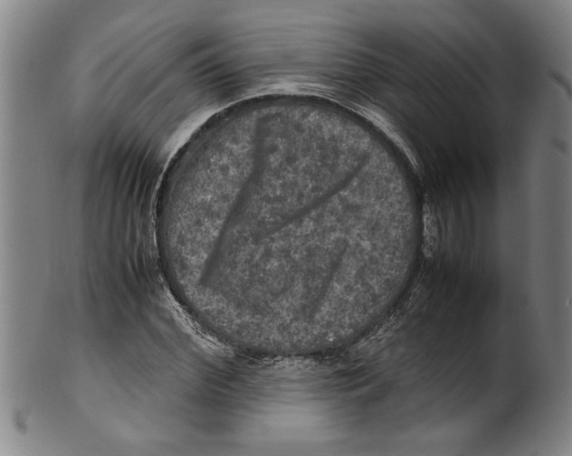 X0000099410972200806060928