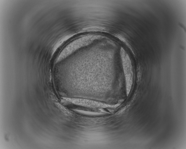 X0000099410973200806060928