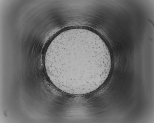 X0000099410974200806060928