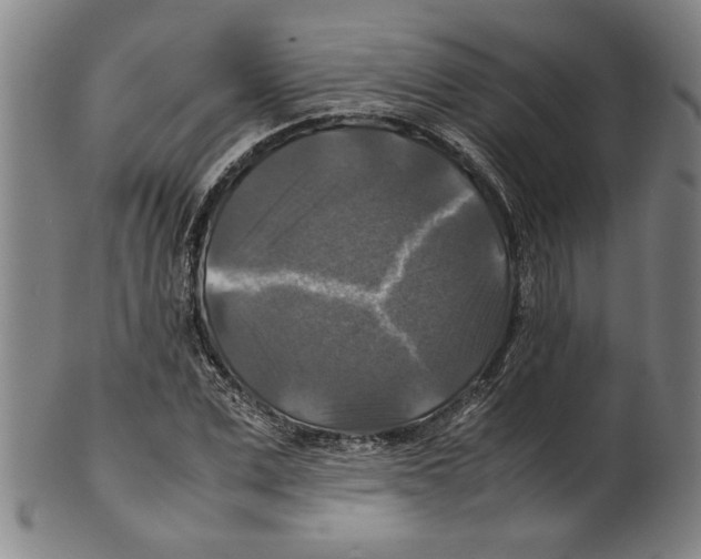 X0000099410975200806060928