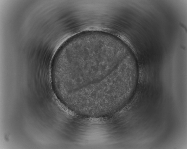 X0000099410976200806060928