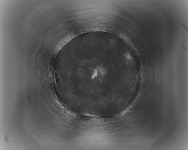 X0000099410977200806060928