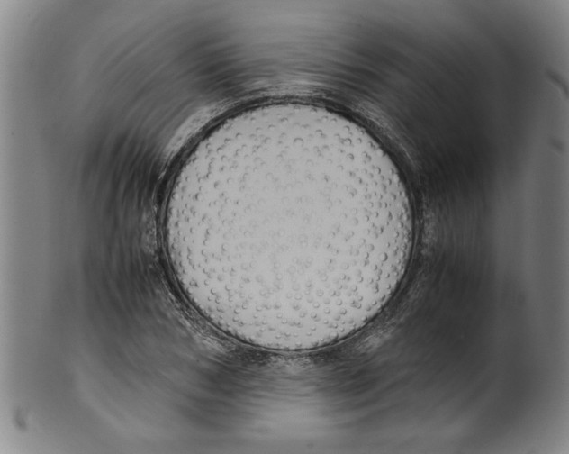 X0000099410978200806060928