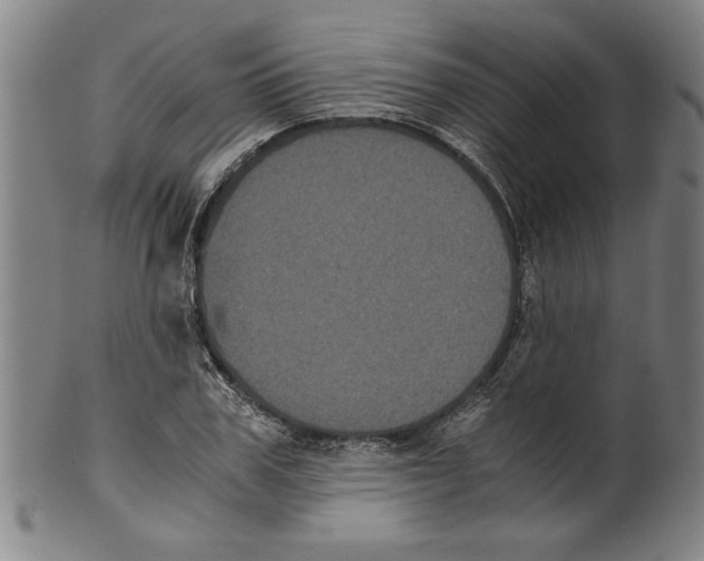 X0000099410979200806060928