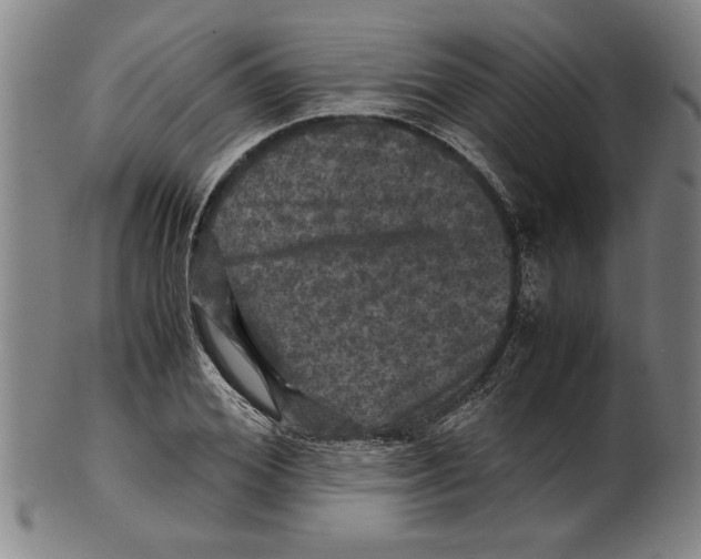 X0000099410980200806060928