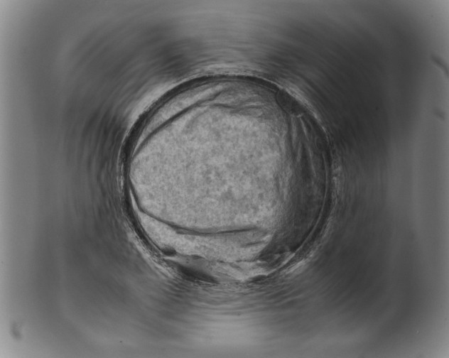 X0000099410981200806060927