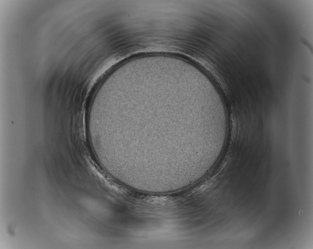 X0000099410982200806060927