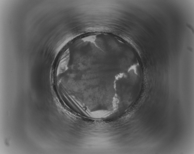 X0000099410983200806060927