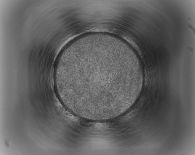 X0000099410984200806060927