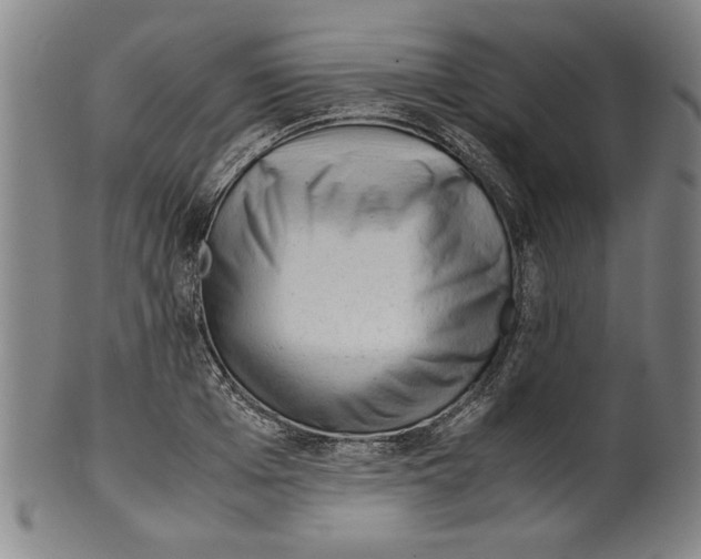 X0000099410985200806060927