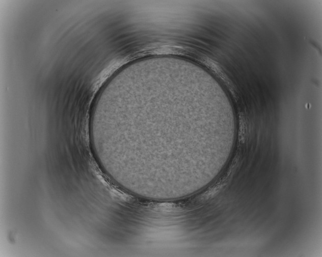 X0000099410986200806060927