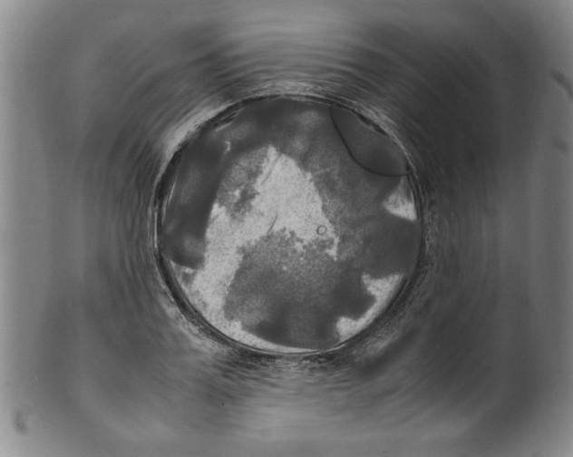 X0000099410987200806060927