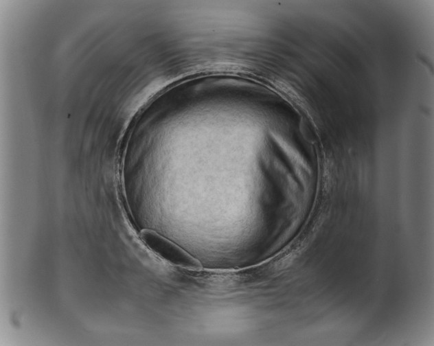 X0000099410989200806060927