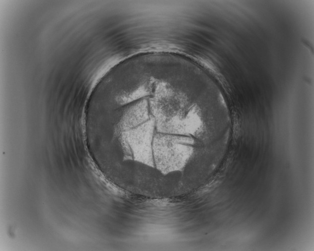 X0000099410990200806060927