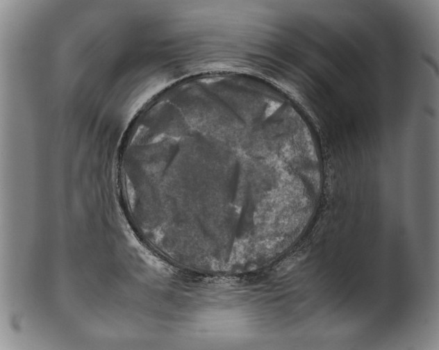 X0000099410991200806060927