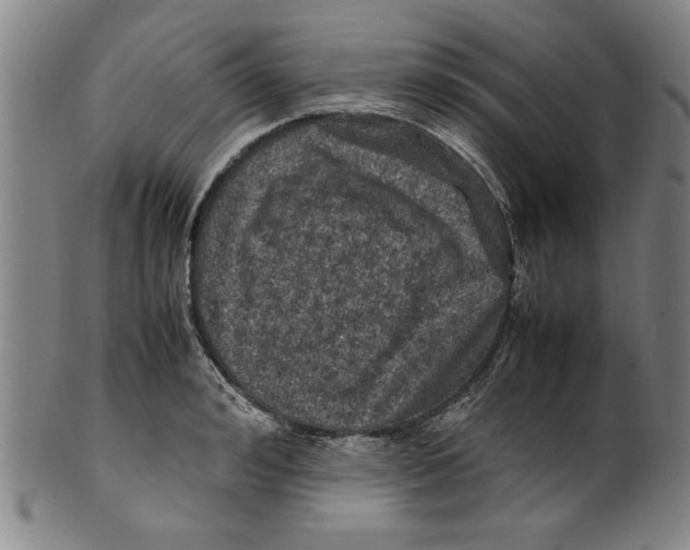 X0000099410992200806060927