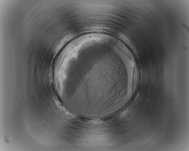 X0000099410994200806060927