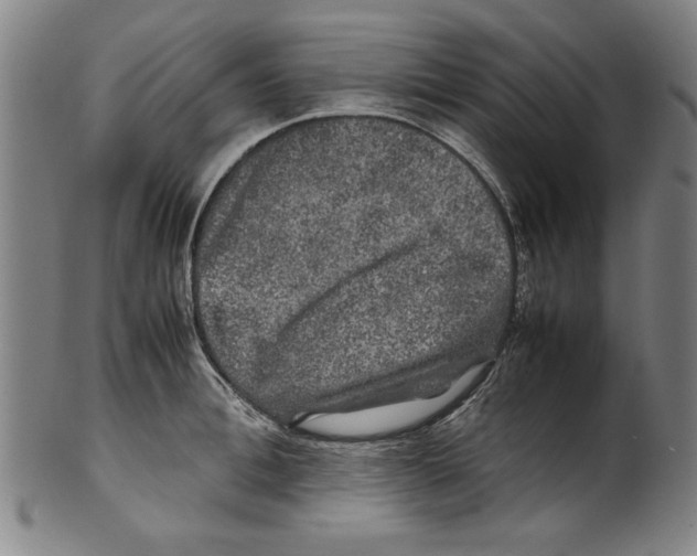 X0000099410996200806060927