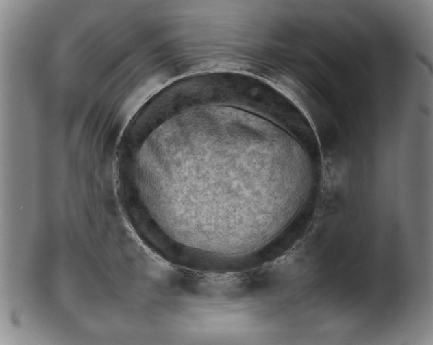 X0000099410997200806060927