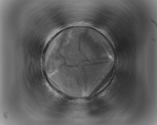 X0000099410998200806060927