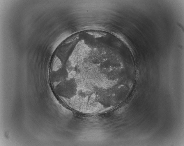 X0000099410999200806060927