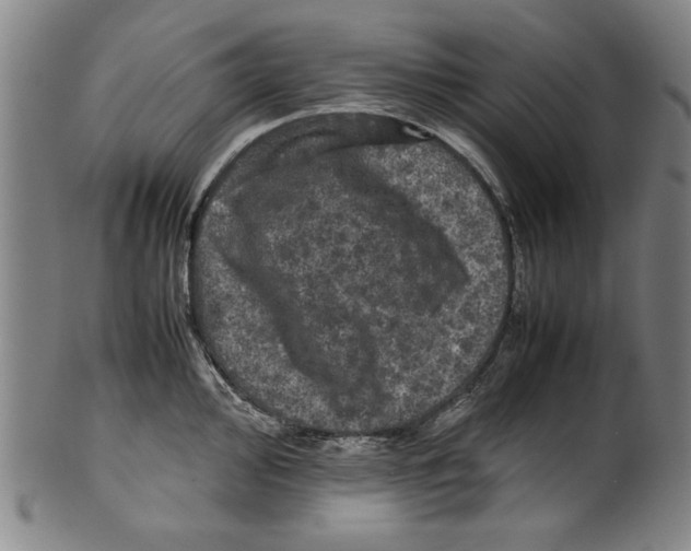 X0000099411000200806060927