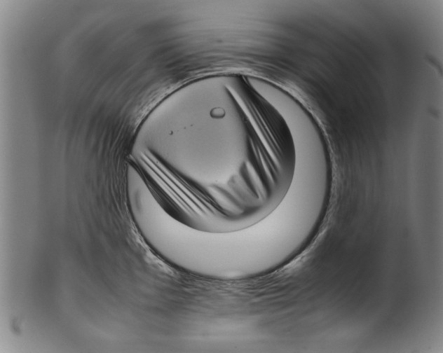 X0000099411001200806060927