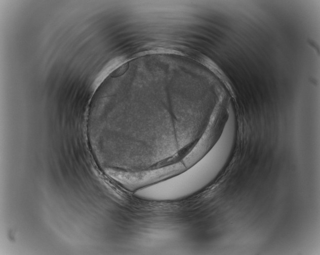 X0000099411002200806060927