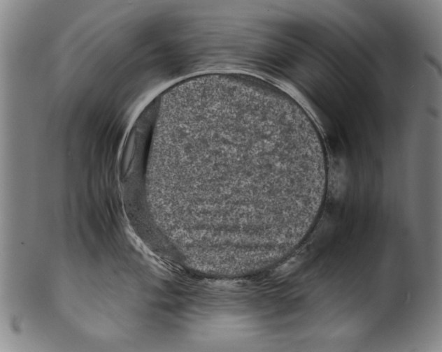 X0000099411004200806060927