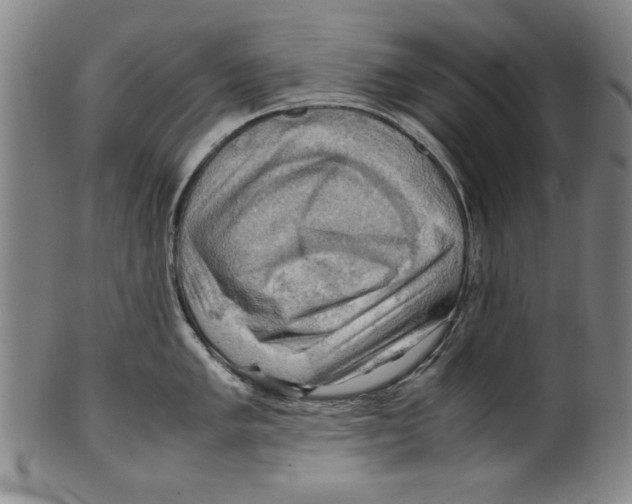 X0000099411005200806060927