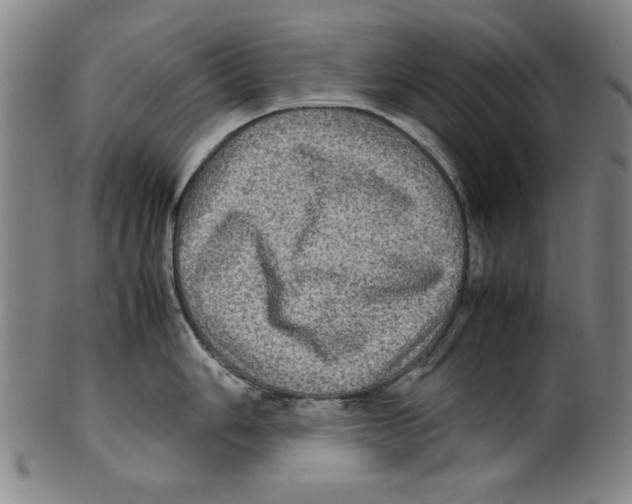 X0000099411006200806060927