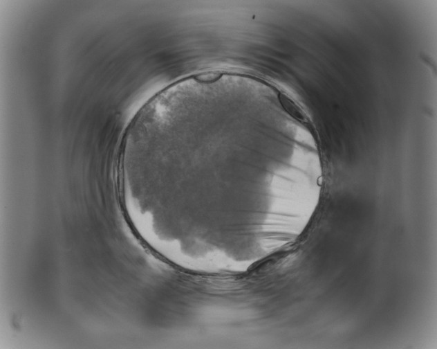 X0000099411007200806060927