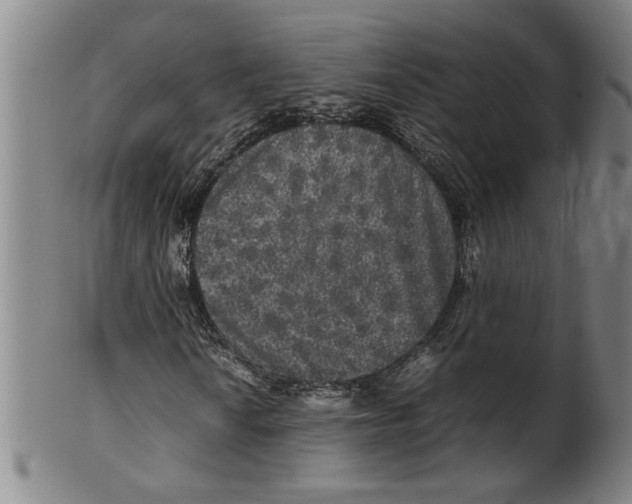 X0000099411010200806060926