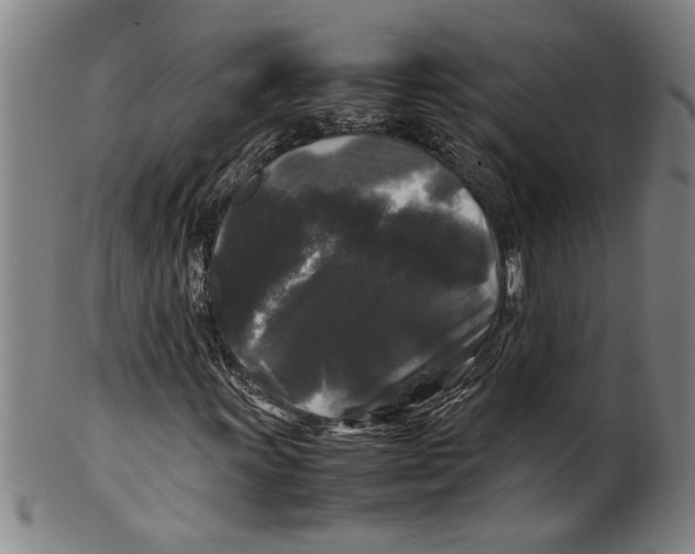 X0000099411011200806060926