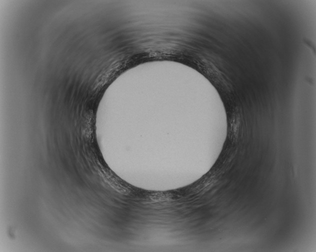 X0000099411012200806060926