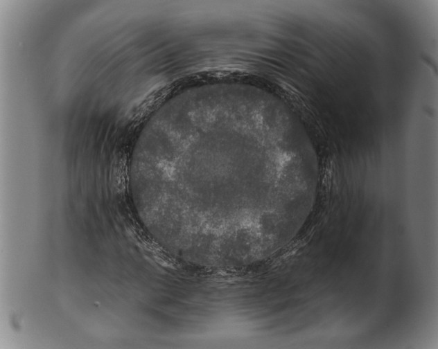 X0000099411014200806060926